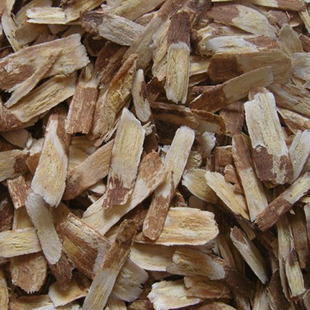 优质正品观音茶接骨木