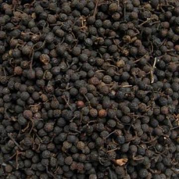 野生山苍子山姜木姜子