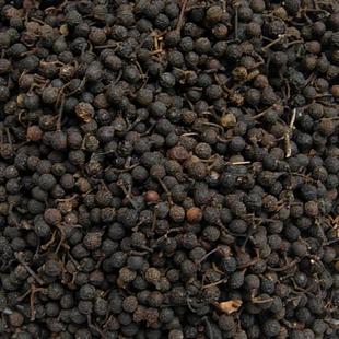 野生山苍子山姜木姜子