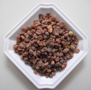 精选土贝母大贝母干品