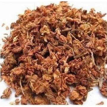 凤仙花精选指甲竹盏花