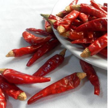 特辣特香小米辣椒干货