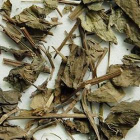 椿荚樗荚春铃子凤眼草