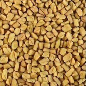 葫芦巴籽芦巴子香草籽