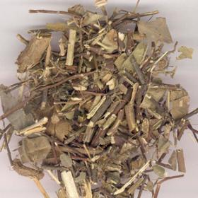 络石藤正宗野生络石藤