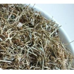 星星草精选正宗画眉草