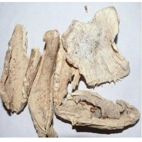 仙人掌野生晒干仙人掌