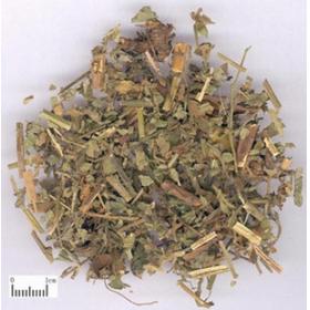 龙牙草 狼牙草 仙鹤草