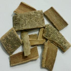 鸭脚木树皮野生鸭脚木