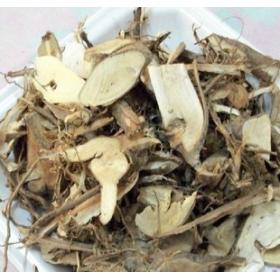 草棉根蜜根野生棉花根