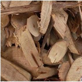 千斤藤刺葡萄山葡萄根