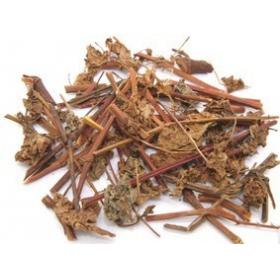 正宗优质纯野生扛板归