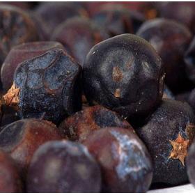 欧洲烹调调味杜松果茶