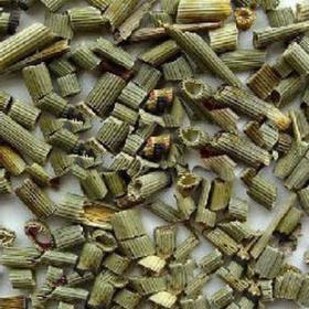 野生木贼草节节无心草