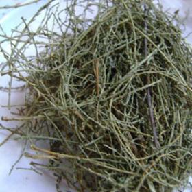 西河柳西湖柳红柳阴柳