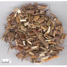 黄花败酱龙芽败酱草