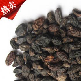 冬青女真子野生女贞子