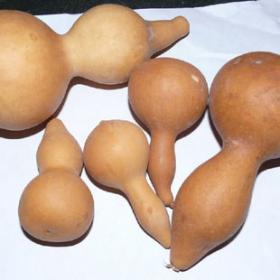 葫芦瓜葫芦瓜葫芦壶卢