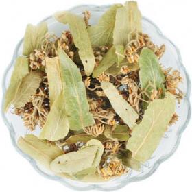 正宗菩提叶野生菩提叶