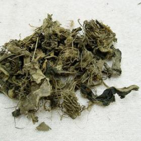 四皮香白薇野生白眉草