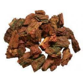 野生马尾松树皮二层白皮