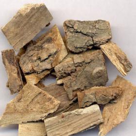 海桐皮干刺桐海桐树皮