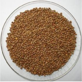 炒熟菜头子干精选莱菔子