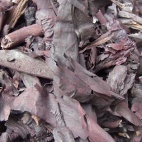 硬紫草干草野生硬紫草