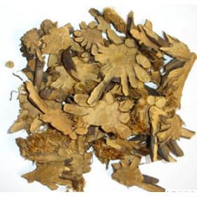 贯众贯节贯渠百头虎卷