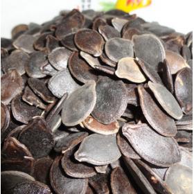 精选丝瓜籽干晒干丝瓜子