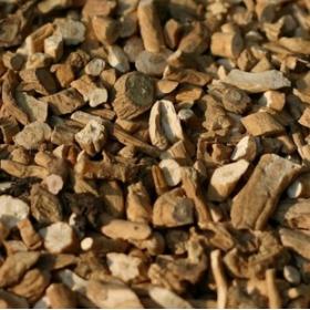 板篮根野生板蓝根片