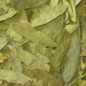 纯野生特级番泻叶茶