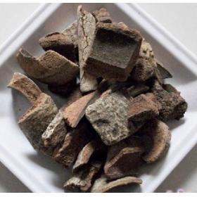 救必应白皮冬青求必应