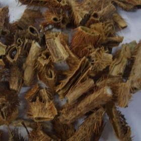 精选正宗红毛刺五加皮