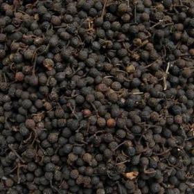 野生山苍子山姜木姜子