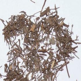 软肝草皂角山扁豆软肝草