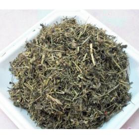 荠菜花花序地米荠花干花