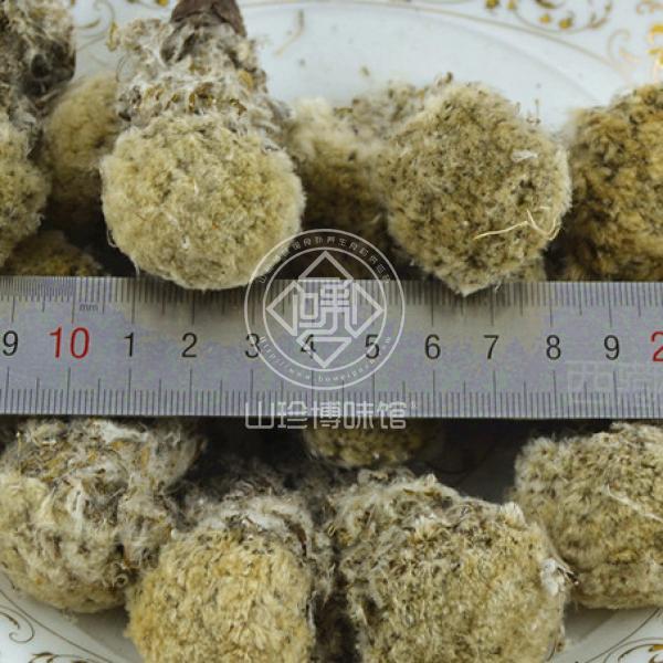 雪莲花西藏雪莲花干非天山雪莲