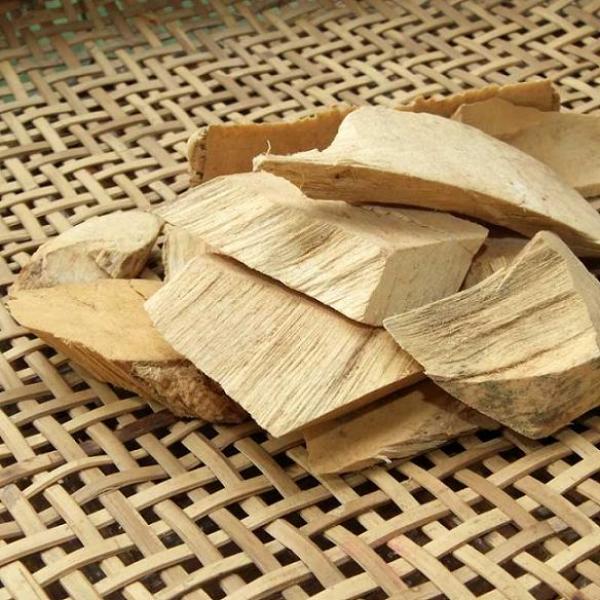 云南西双版纳大萝芙木