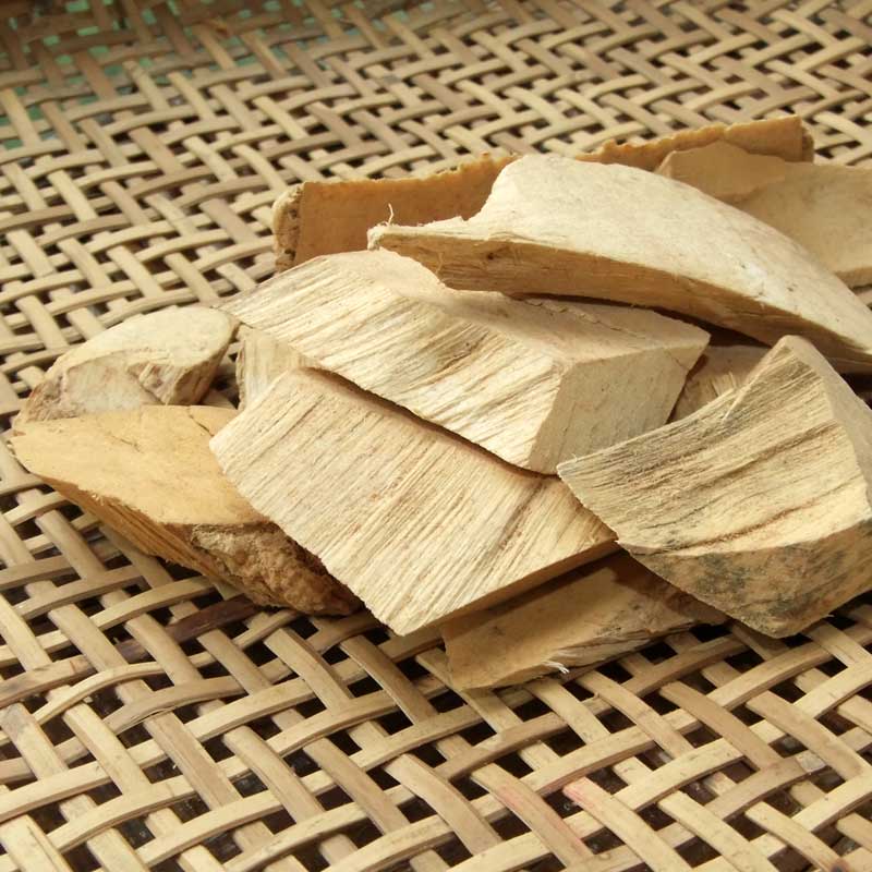 云南西双版纳大萝芙木