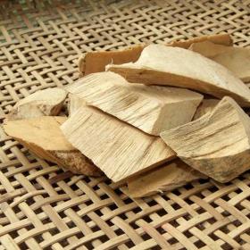 云南西双版纳大萝芙木