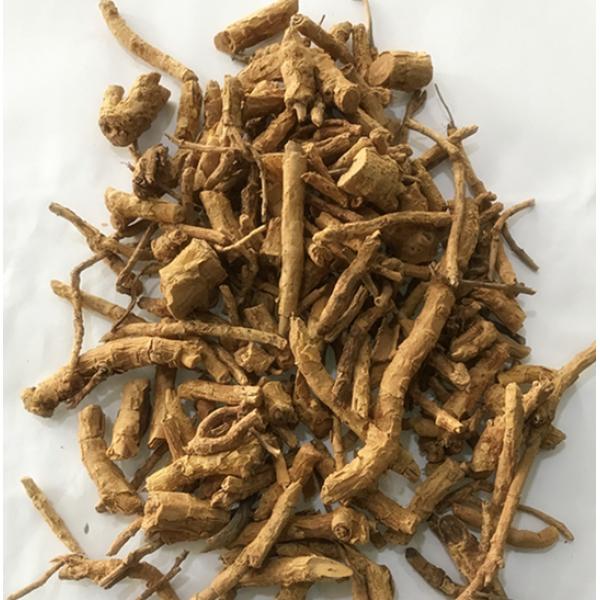 土沉香 驳骨消 过山香