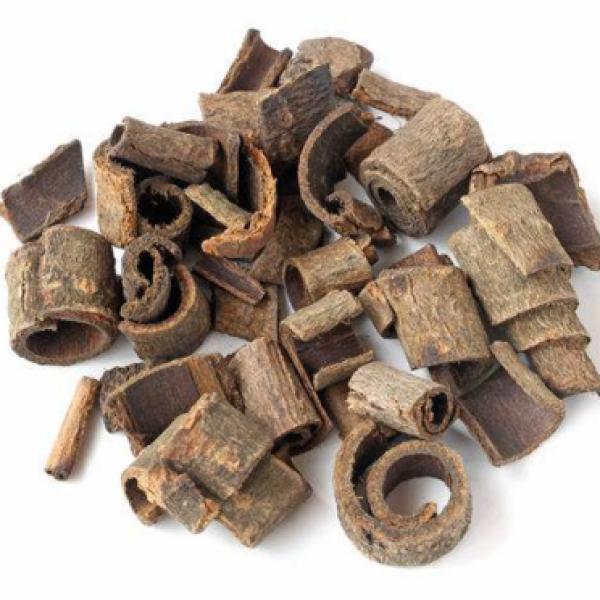 四川紫朴赤川朴川厚朴