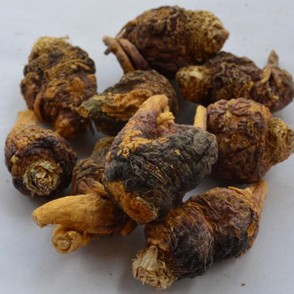 玛卡云南紫玛咖干