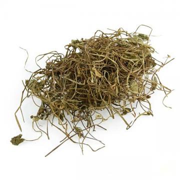 连钱草马蹄草破铜钱草