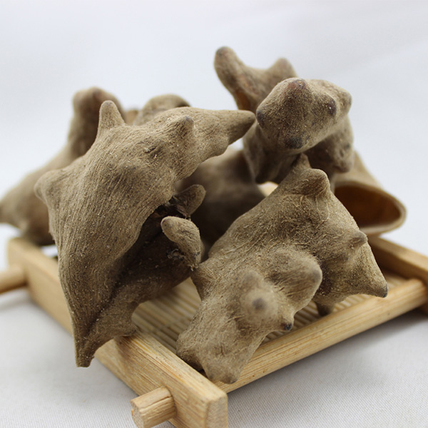 正宗五倍子特级五倍子