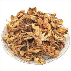 珍珠菇福建古田滑子菇