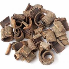 四川紫朴赤川朴川厚朴