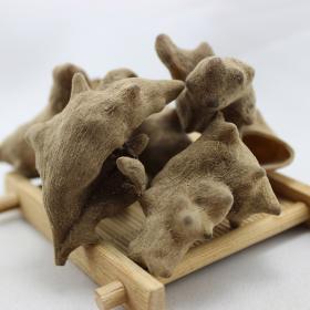 正宗五倍子特级五倍子