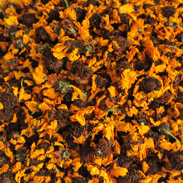 新疆昆仑野生雪菊礼盒